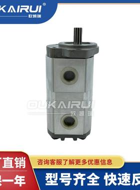 CASAPPA凯斯帕液压齿轮泵PLP20.14/10.5/11.2/9/20/24.5/27.8D0