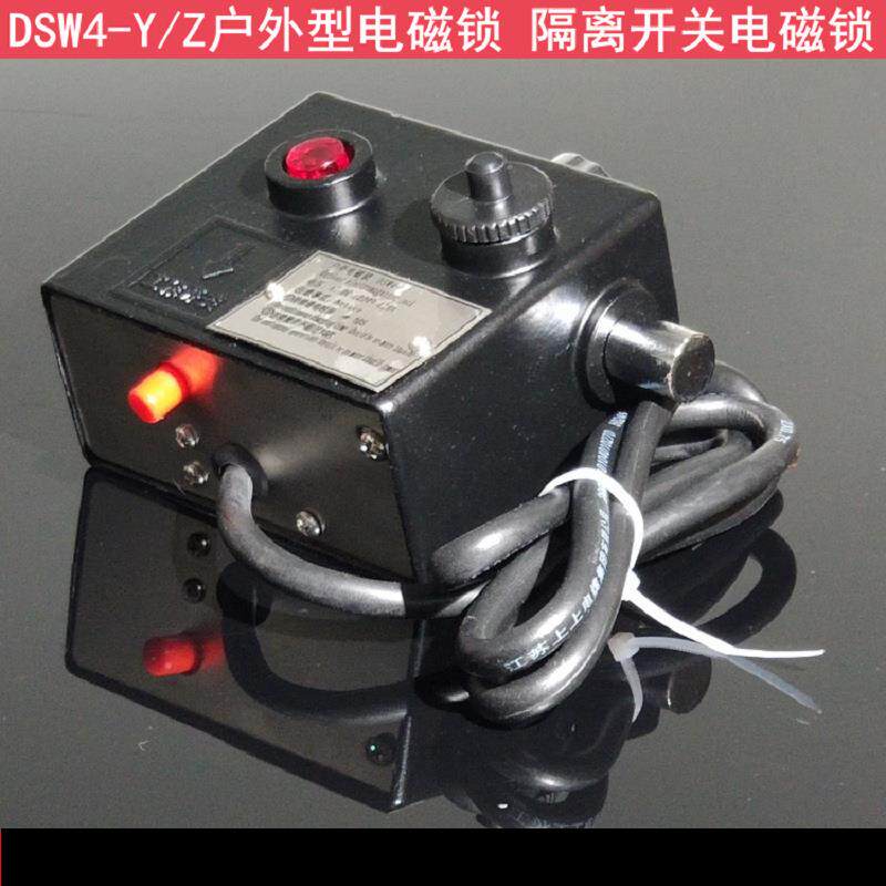 DSW4-Z(Y)户外电磁锁DSW1-2-3-4-5-Y-Z交流220V直流110V220V