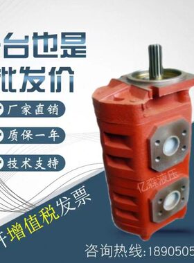 50G23503装载机C20济南泉城/0B液压泵液压G2B齿轮泵C020双联66/