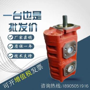 0B液压泵液压G2B齿轮泵C020双联66 50G23503装 载机C20济南泉城