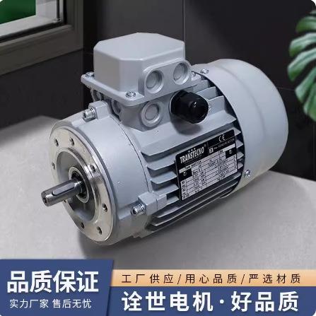 进口意大利原装诠世TRANSTECNO三相异步电机MS/MY系列 MS80B4-B5