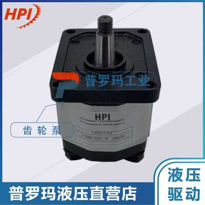 HPI液压泵 P1BAN 2004 HL 10 B02 齿轮泵 可做代替