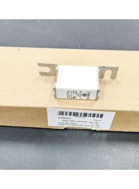 170M1321快速熔断器 690V 250A 巴斯曼BUSSMANN快速熔断器