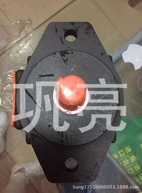 叶片泵PV2R1-33. PV2R1-19 PV2R1-10 PVL1.PVF1系列 泵芯
