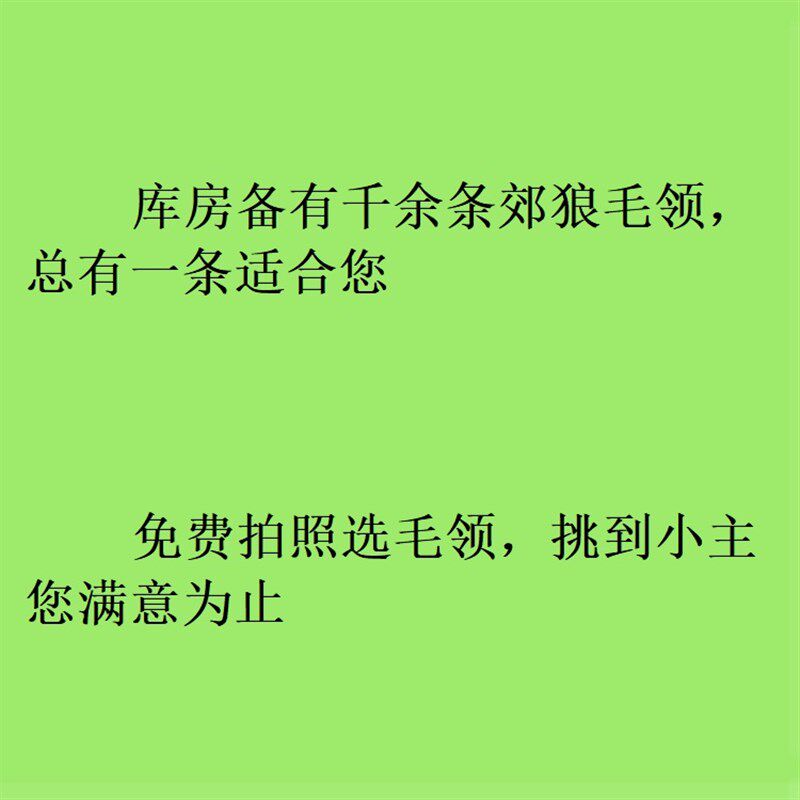 定制大鹅毛领单卖加拿大郊狼毛领子更换精品N3B狼毛领远征真毛领
