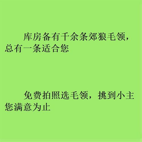 定制大鹅毛领单卖加拿大郊狼毛领子更换精品N3B狼毛领远征真毛领