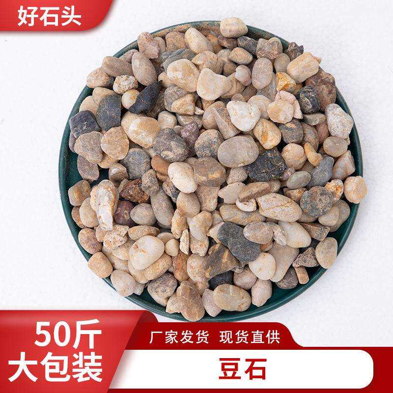 豆石天然鹅卵石家装回填地暖鱼缸布景石头沼泽过滤石滤料石材沙石
