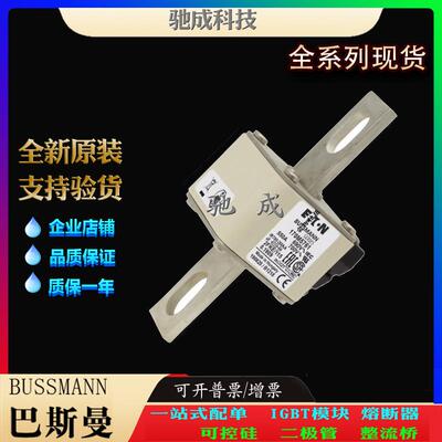 巴斯曼170M5760 170M5761 170M5762 现货供应质优价廉 原装熔断器