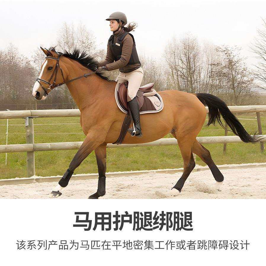 障碍马护腿弹性缓冲内垫保护肌腱马绑腿潜水料OK布马术比赛用护具