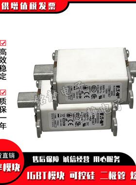 170M1563 170M1564 170M1565 170M1566 170M1567巴斯曼熔断器现货