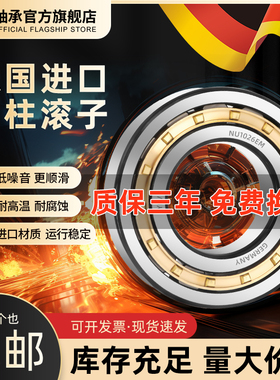 德国进口YLV圆柱滚子轴承NJ2234 2236 2238 2240 2244 2248EM