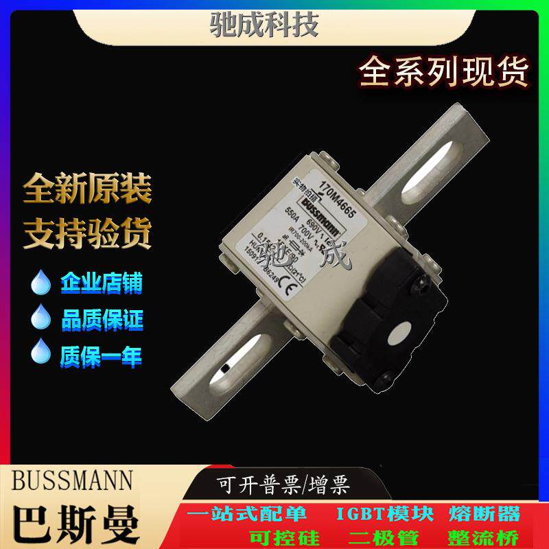 巴斯曼170M4665 170M4666 170M4667 现货直销零售 特种保险丝