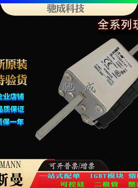 巴斯曼170M4746 170M4747 170M4758 长期零售 快速保险丝