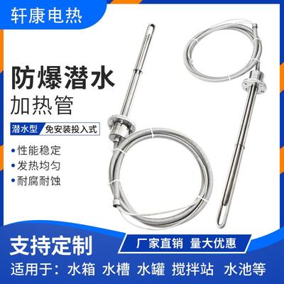 大功率防爆型潜水加热管380v工业水箱电热管投入水槽油罐池加热棒
