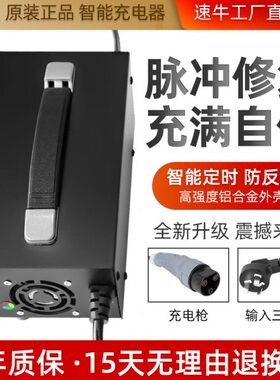 15vav2248v60K16乐御捷详和电动四轮车唯卡a昆适用丽驰充电器原厂