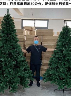 圣诞树裸树1.8米2.1m2.4m2米1加密2米4绿色2米7大型三米出口阻燃