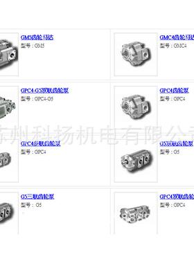 TJHD齿轮泵 TJHD双联齿轮泵 TJHD多联齿轮泵 G5-20-113-F20RL