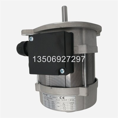 利雅路燃烧器GAS9电机 RHE EN60034-1 740W马达