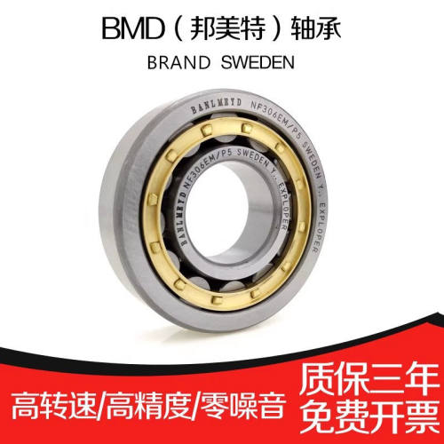 瑞典BMD圆柱滚子轴承NUP2