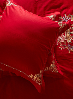 大红色靠垫枕套 刺绣抱枕45*45一对60*60CM结婚床上用品婚庆