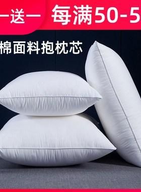 抱枕芯50靠枕芯60x60靠背芯一对全棉65x85长方形靠垫芯内胆可定做