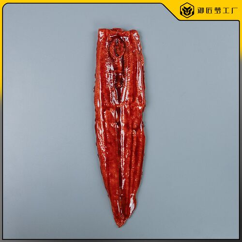 仿真蒲烧鳗e鱼模型假炭烤鳗鱼日料模具仿真鳗鱼饭寿司摆件道具