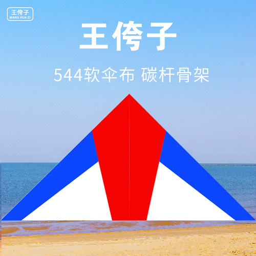 潍坊王侉子544伞布风筝 高档小轻体微风风筝 大S型好飞易飞初学者