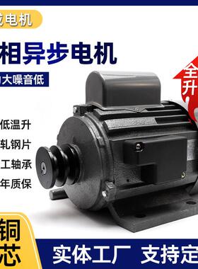 YC802-4单相750W电动机220v单电容B3卧式软冰机用电机1400rpm