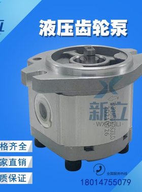 齿轮泵 BAP2A0D3/3.6/4/6/8/10/12/14/16/18/20/22/25/28/30 G0L0