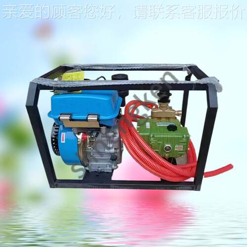 柴园油打药机雾高压农用直连一体喷器电启动雾机果农药喷666喷洒