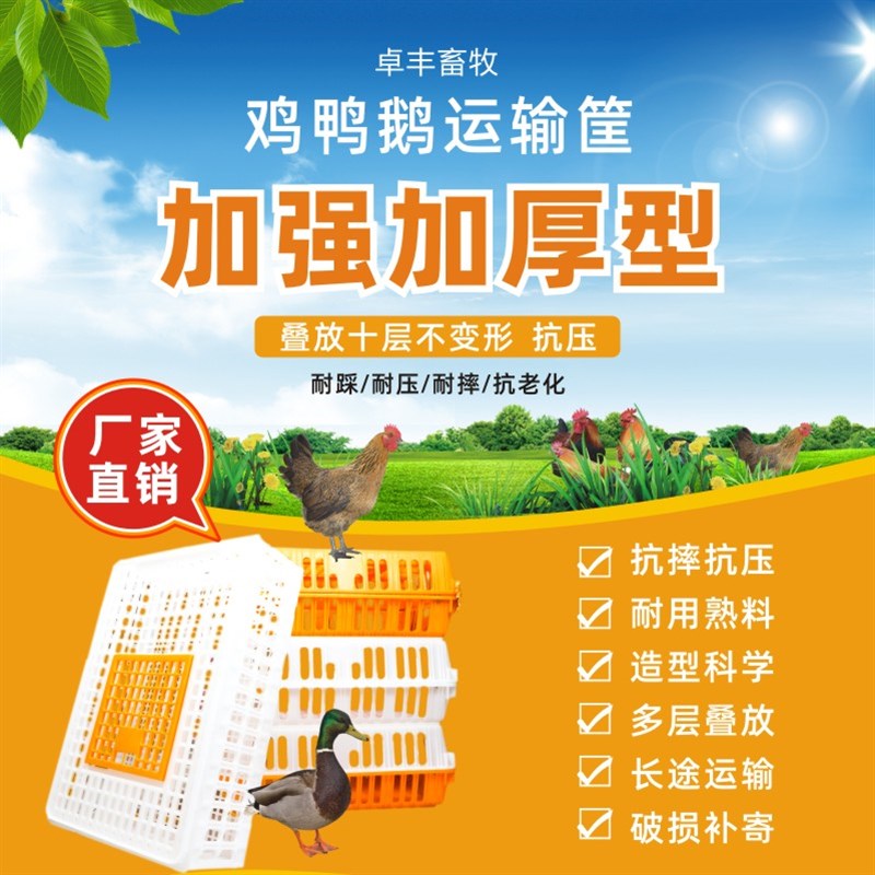 运输笼鸡笼塑料家禽周转箱筐成鸡鸭鹅鸽子笼子家用大号兔笼养殖笼