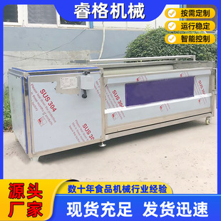 全自动毛刷清洗去皮机根茎类植物清洗机 304不锈钢芋头洋葱脱皮机
