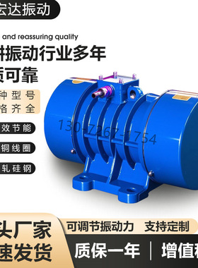 YZH-8-6振动电机 0.55KW 980RPM 振动筛用三相异步振动电机
