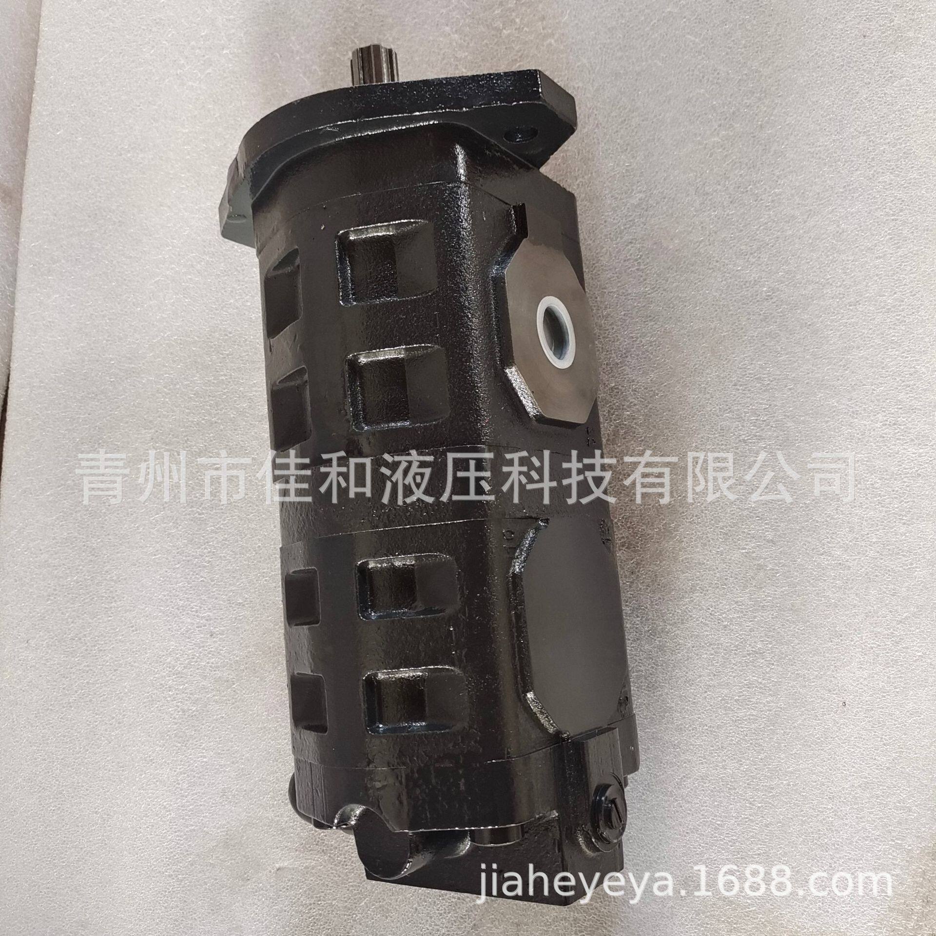 福田雷沃936双联泵9D651-31A010000A0