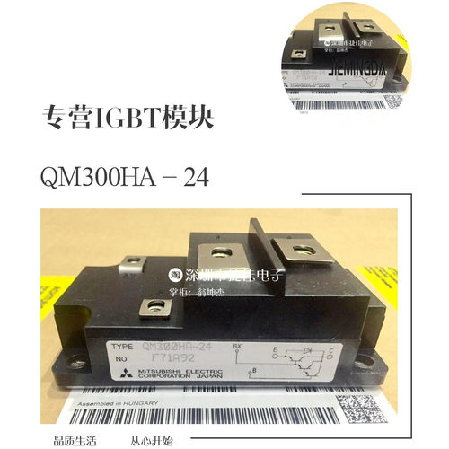 QM300HH-2H QiM300HH-24 QM300HA-24 QM300HA-2H QM300HA-24B询价