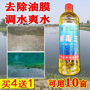解毒净水宝碧水安水产养殖有机y酸净水王鱼塘虾药调水池塘改底解