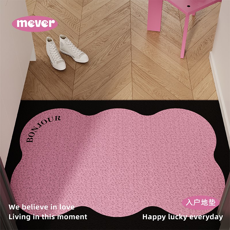 韩式简约ins入户地垫丝圈防滑脚垫毯进门垫子玄关门口门外可裁剪