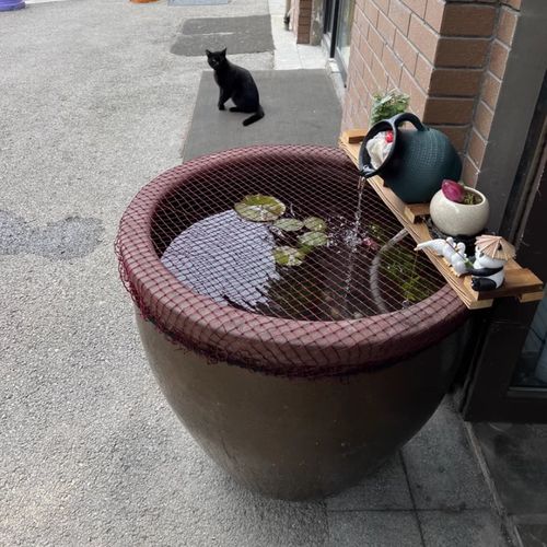 红色网鱼池防跳网长方形圆形鱼缸防跳网罩防逃网圆缸网罩防猫网