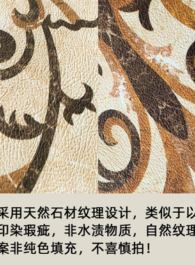 欧式进门地垫入户门玄关门厅家用脚垫门口简约地毯可擦洗防滑pvc