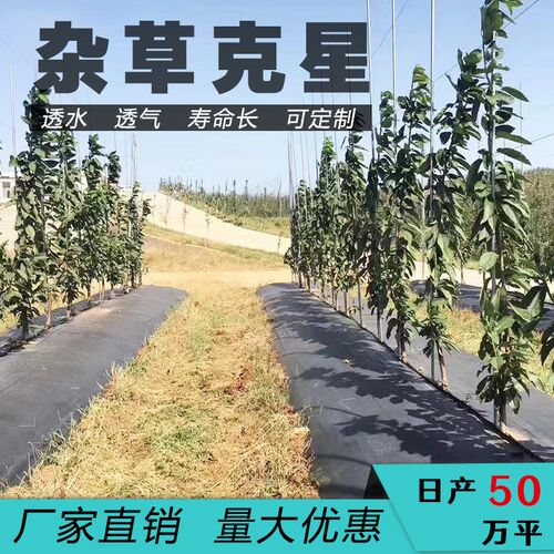 防草布切片除草布园艺地布果园杂草盖草布地钉不长草切加厚抗老化