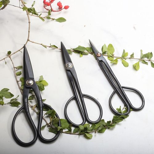 全钢实心修枝剪刀家用叶芽剪小枝切剪盆景剪刀园艺修枝专业花剪