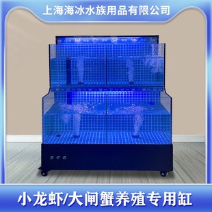 饭店饭厅大排档商用淡q水鱼缸 养小龙虾大闸蟹专用池 无制冷款