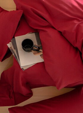 简约100支纯棉磨毛大红色四件套全棉1.5m1.8米床上用品床单被套保