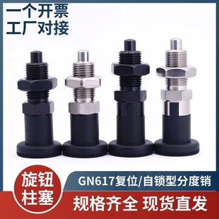 旋钮柱塞定位e销碳钢不锈钢自锁复位型分度销弹簧插销M10M12M16M2