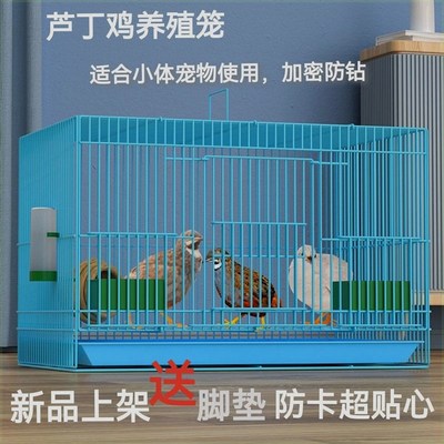 鸡笼子家用室外j鸭鹅芦丁养殖加密大号雏鸡雏鹌鹑鸽子铁丝笼
