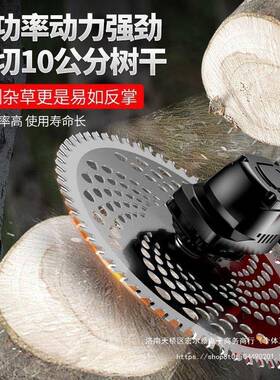 德国电动割草机无功锄SWZ草机大功率刷锂电充电式家用草机多能农