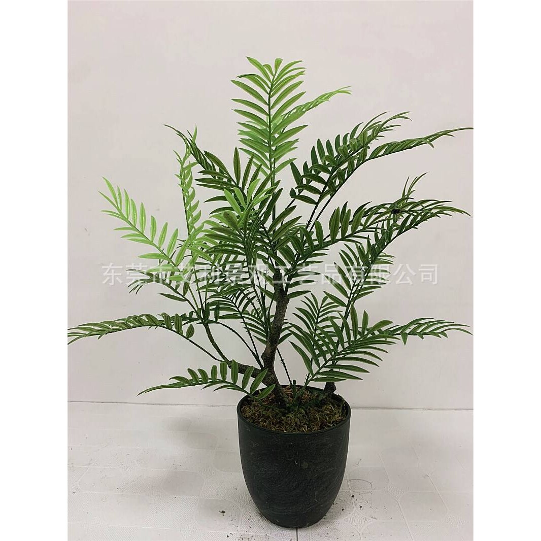 盆栽蕨树马尾蕨草 家居装饰波斯草树绿植 人造塑料假树盆景