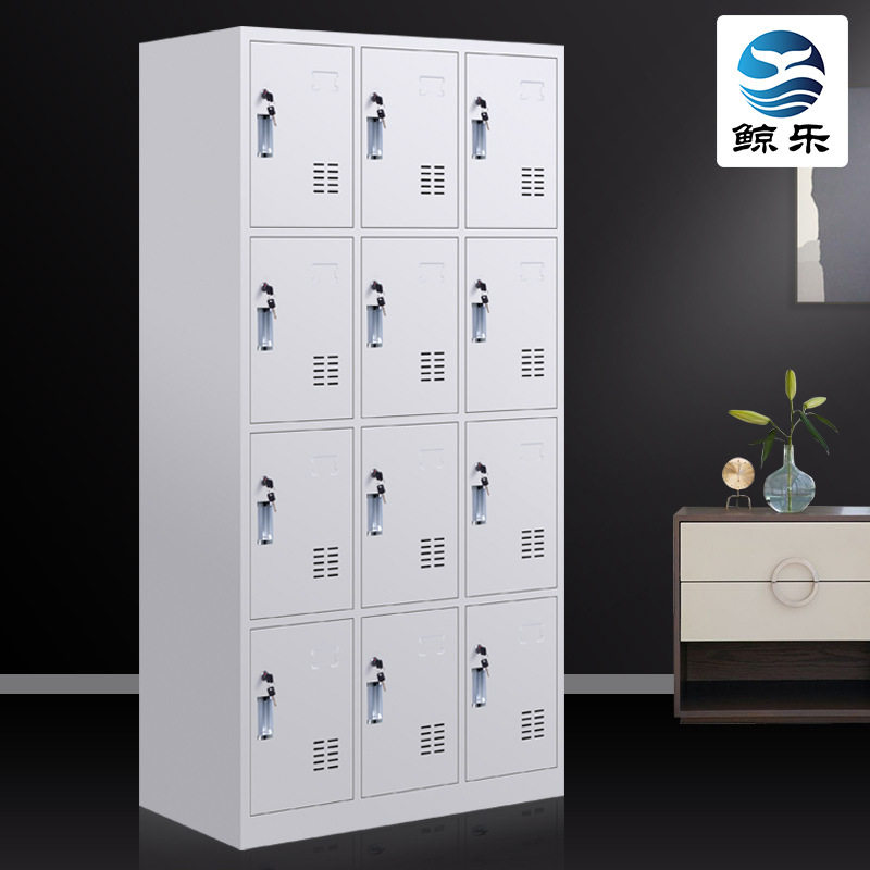 十二门更衣柜铁皮柜12门更衣柜钢制带锁储物柜员工宿舍柜厂家