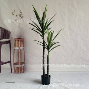仿真多杆剑兰剑麻绿植盆栽 人造龙舌兰虎皮兰园林景观造景假植物