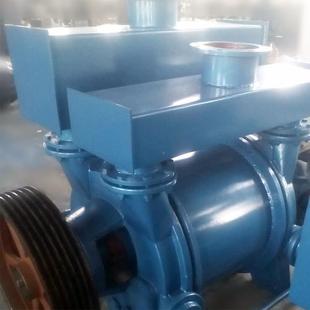 2BC40水E式真空泵高真空度780卧环污水杂质泵工业式不锈钢真空泵